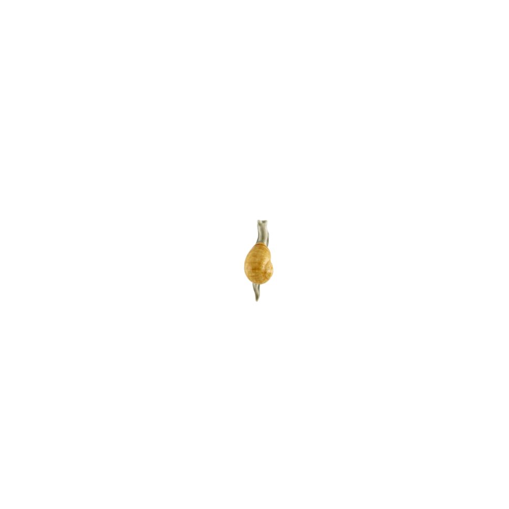 ¨Bordallo_Magnets_Magnet snegle