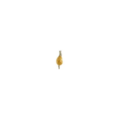 ¨Bordallo_Magnets_Magnet snegle